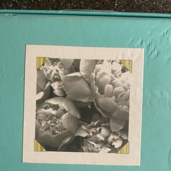 ♠️Kate Spade pushpins - Picture 4 of 5